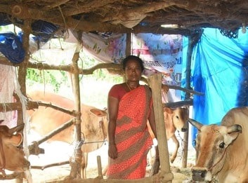 Ponni entrepreneure
